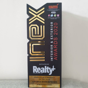 RMC-INex award 2020